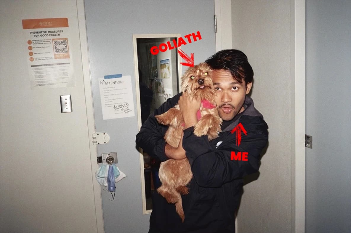 Picture of the author